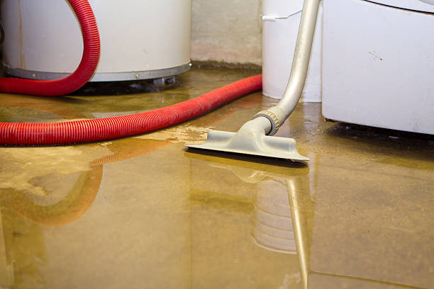 Best Crawl Space Water Damage Solutions in Charlotte, NC